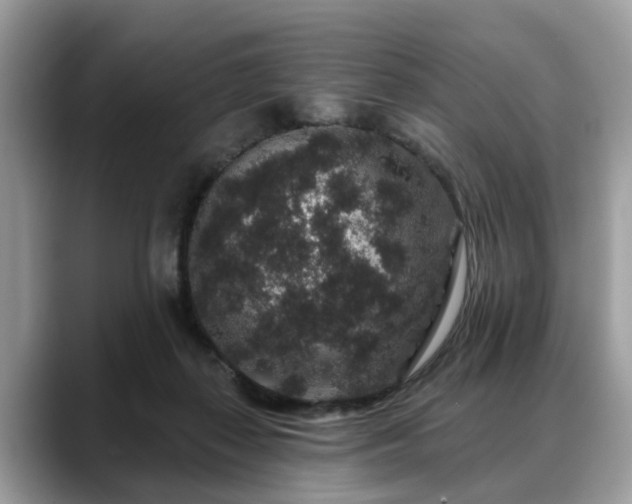 X0000088670267200706071505