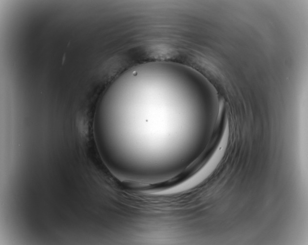 X0000088670268200706071505