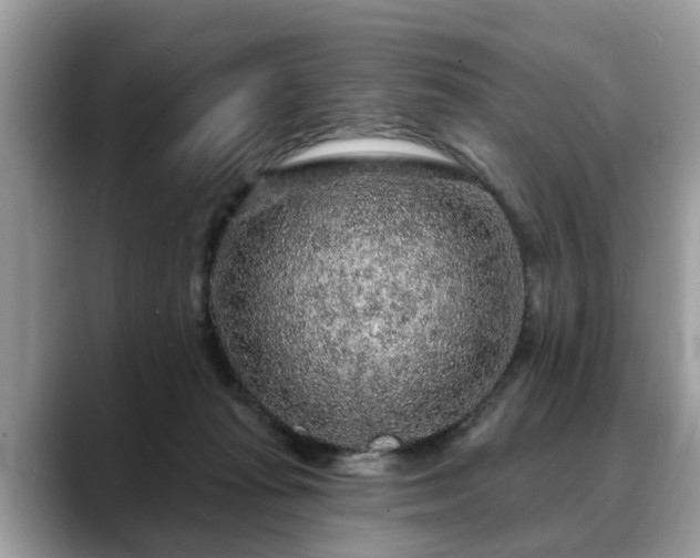 X0000088670269200706071505