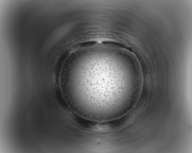 X0000088670270200706071505
