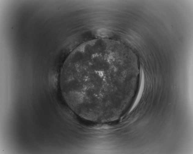 X0000088670271200706071505