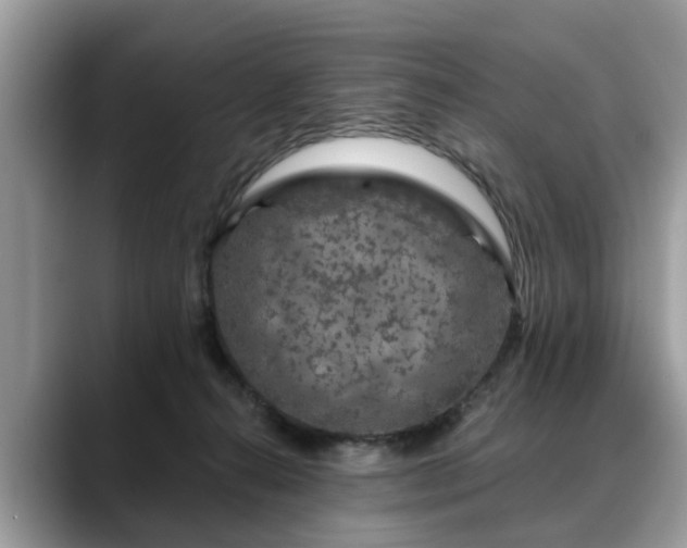 X0000088670272200706071505