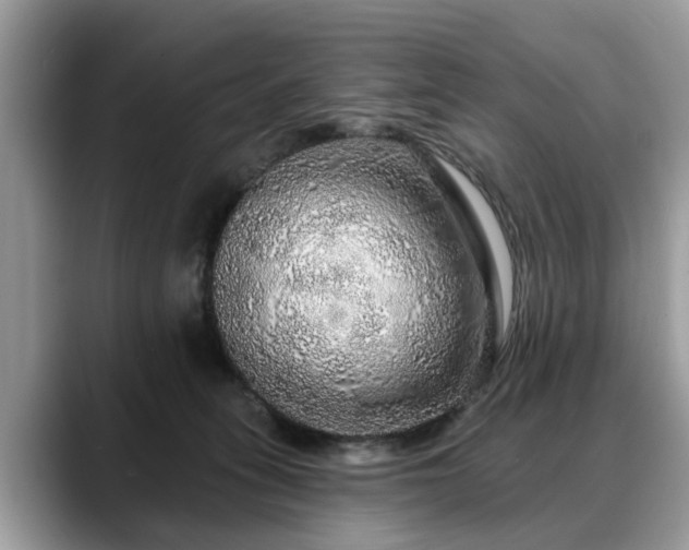 X0000088670275200706071506
