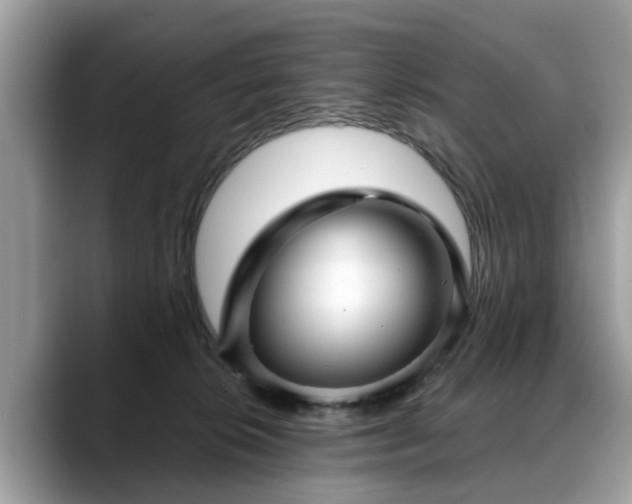X0000088670276200706071506