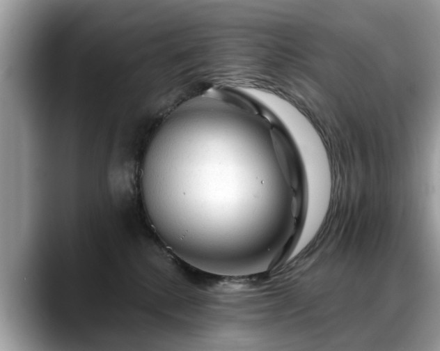 X0000088670280200706071506