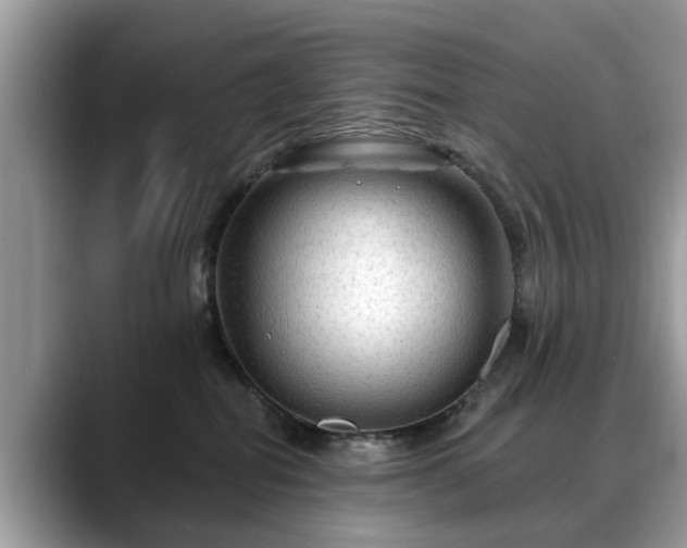 X0000088670282200706071506