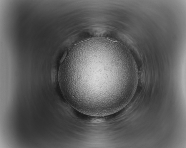 X0000088670283200706071506