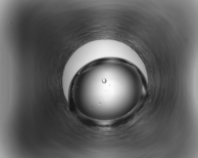 X0000088670284200706071506