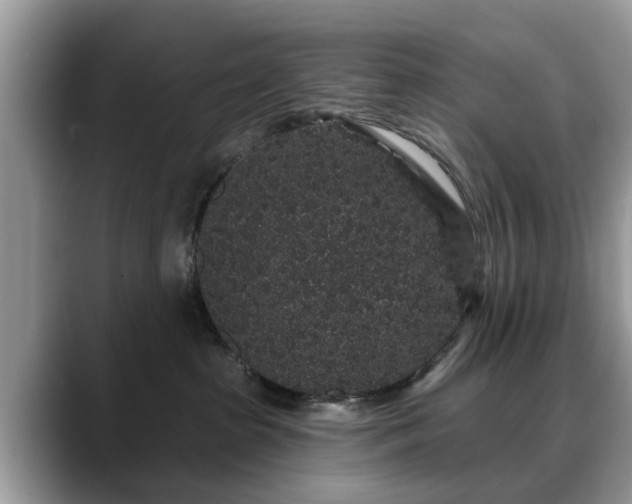 X0000088670285200706071506