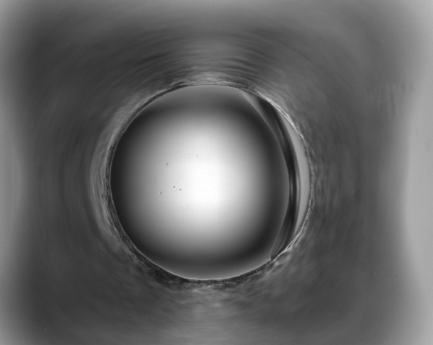 X0000088670289200706071505