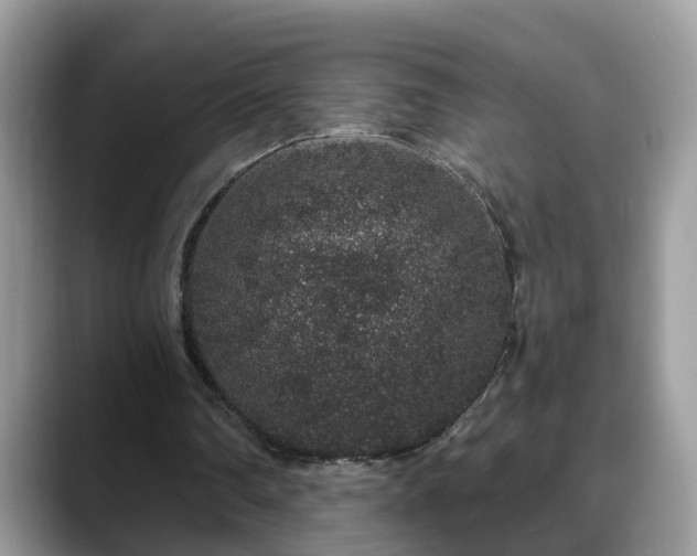 X0000088670290200706071505