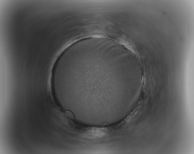 X0000088670292200706071505