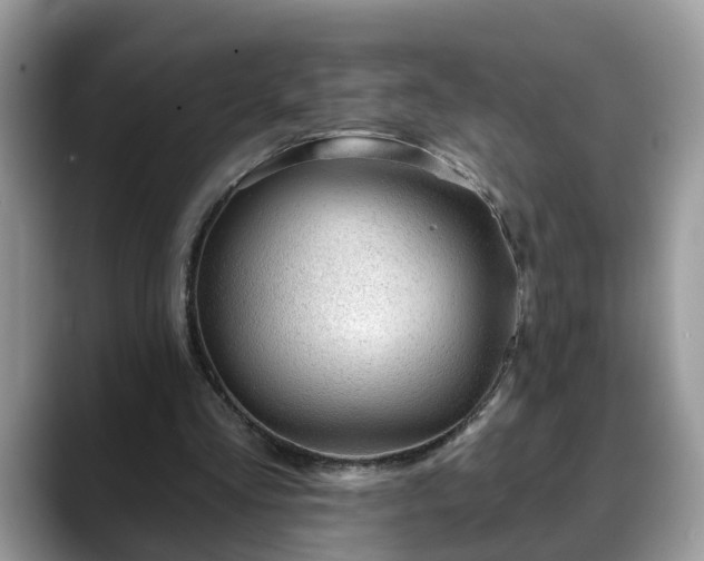 X0000088670293200706071505