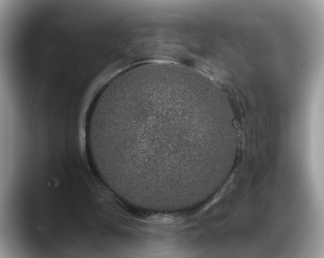 X0000088670294200706071505
