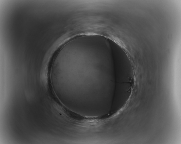 X0000088670295200706071505