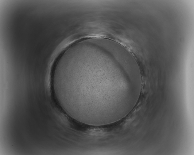X0000088670296200706071505