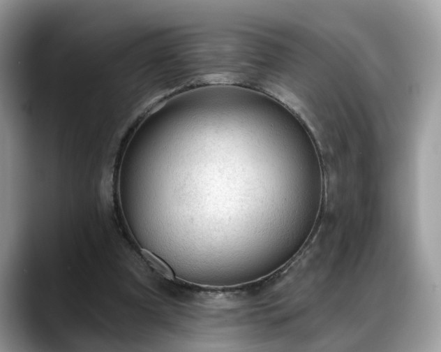 X0000088670297200706071505
