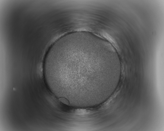 X0000088670298200706071505