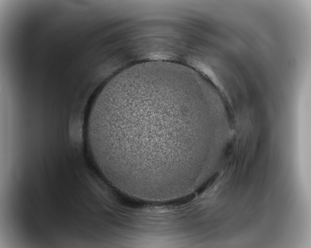 X0000088670299200706071505