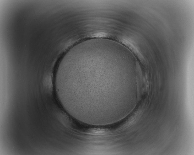 X0000088670300200706071505