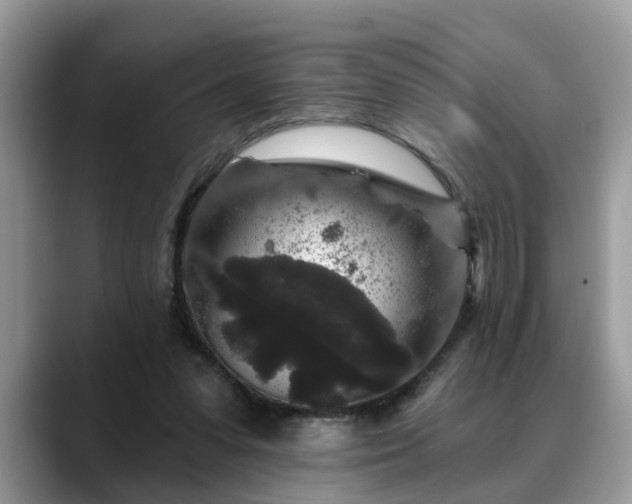 X0000088670303200706071505