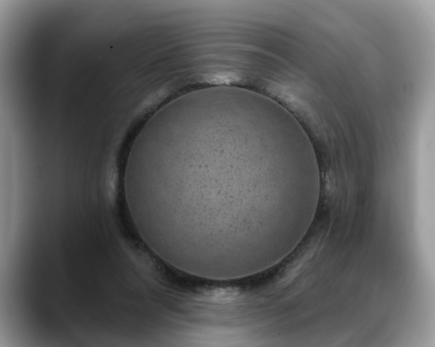 X0000088670304200706071505