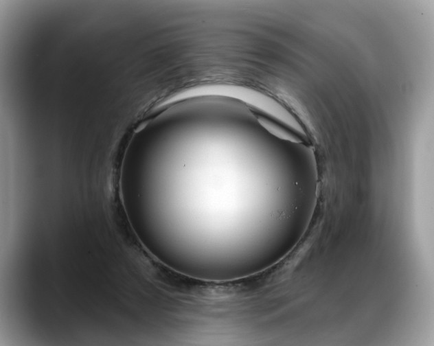 X0000088670305200706071505