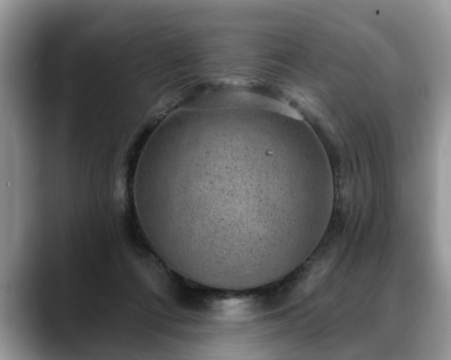 X0000088670312200706071505