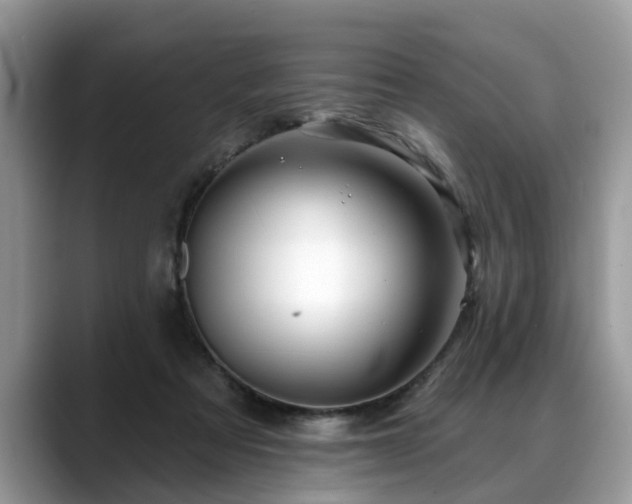 X0000088670313200706071505