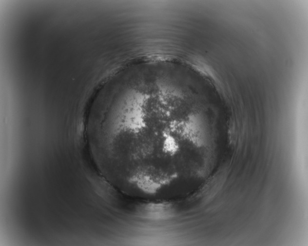 X0000088670314200706071505