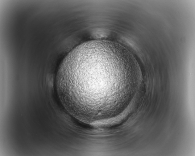 X0000088670315200706071505
