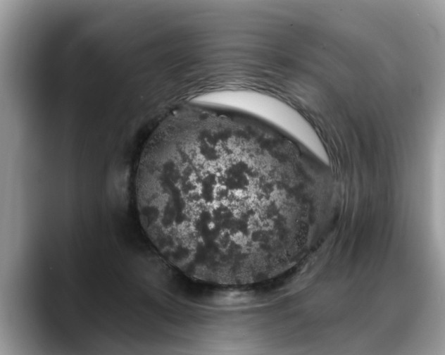 X0000088670319200706071505