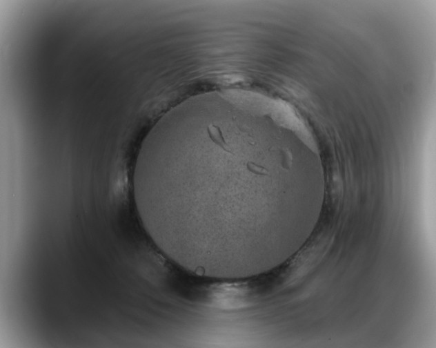 X0000088670320200706071505