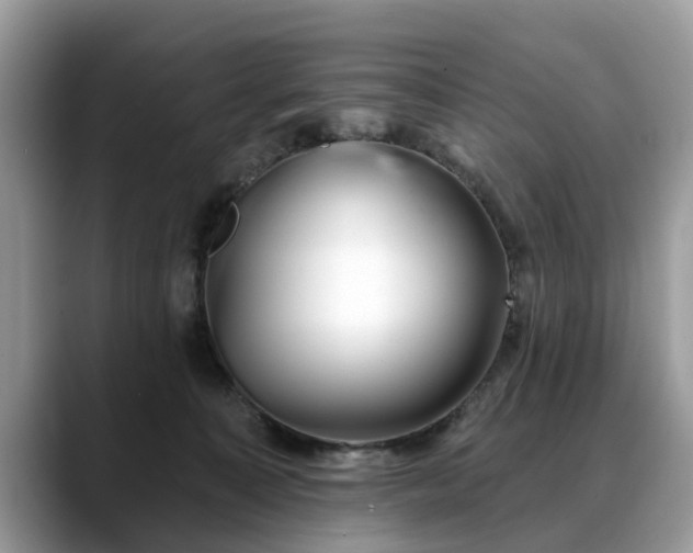 X0000088670323200706071505