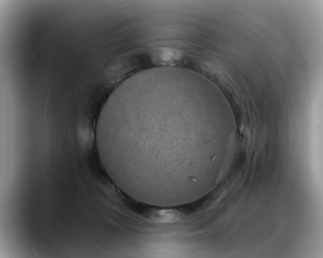 X0000088670324200706071505