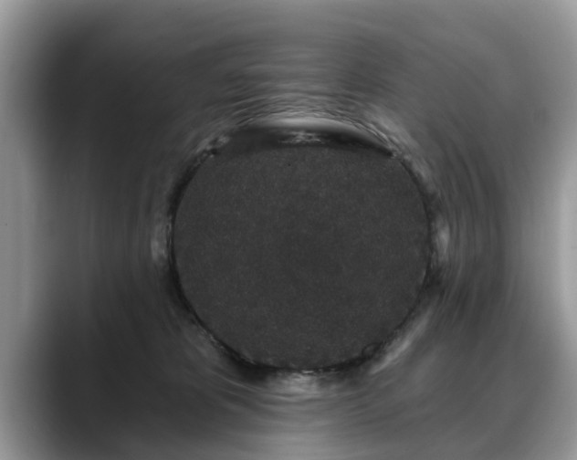 X0000088670325200706071505
