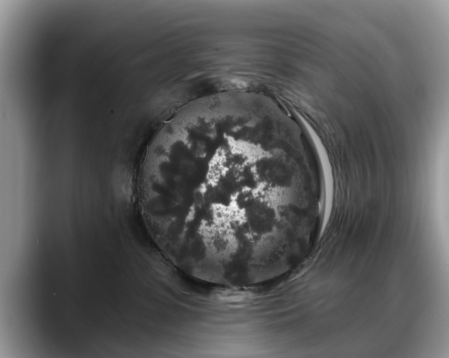 X0000088670331200706071505