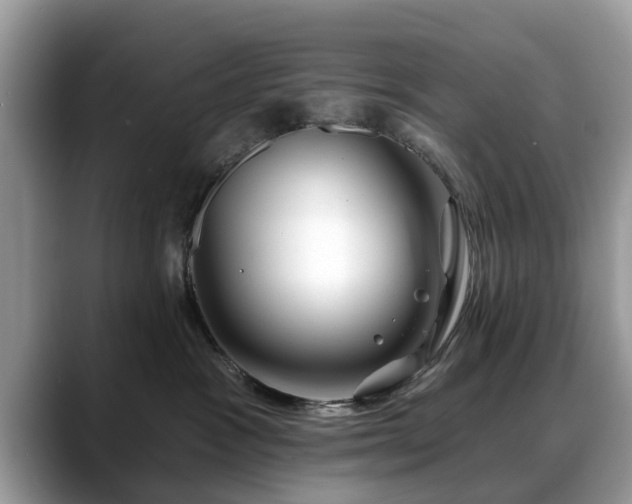 X0000088670333200706071504