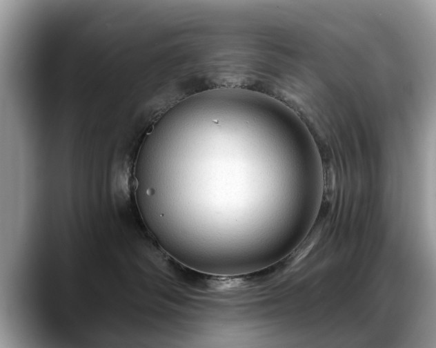 X0000088670334200706071504