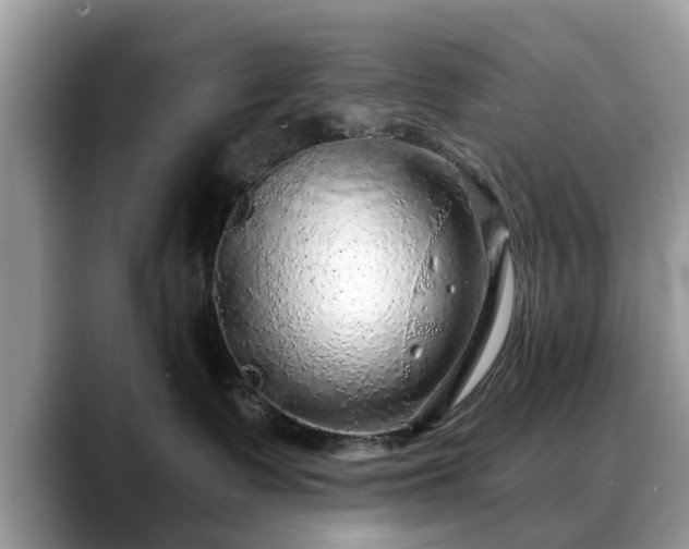X0000088670335200706071504