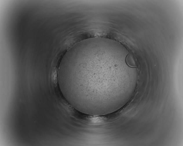 X0000088670336200706071504