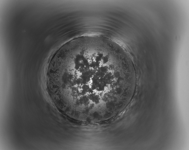 X0000088670337200706071504