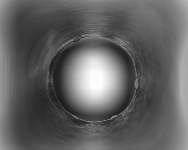 X0000088670338200706071504