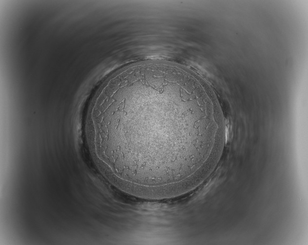 X0000088670339200706071504