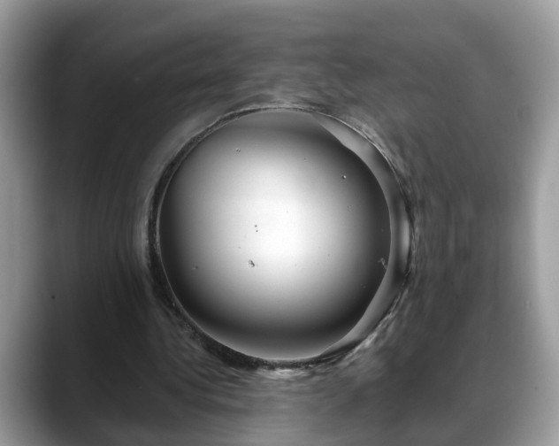 X0000088670340200706071504