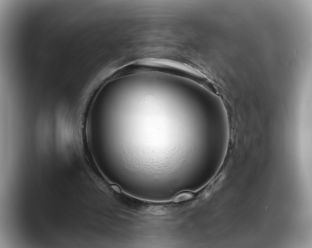 X0000088670341200706071504