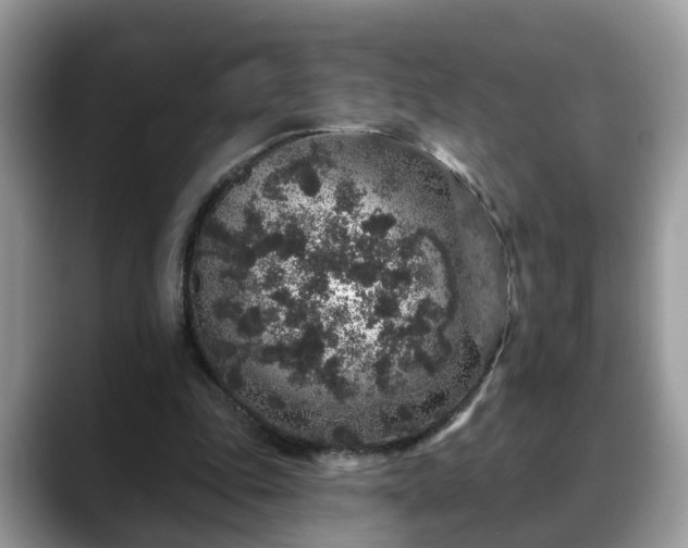 X0000088670343200706071504
