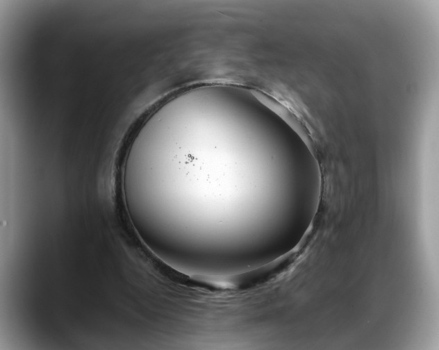 X0000088670344200706071504