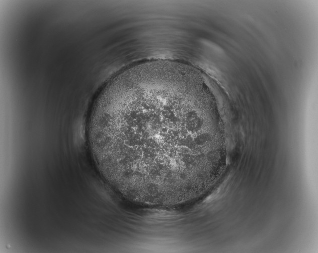 X0000088670347200706071504