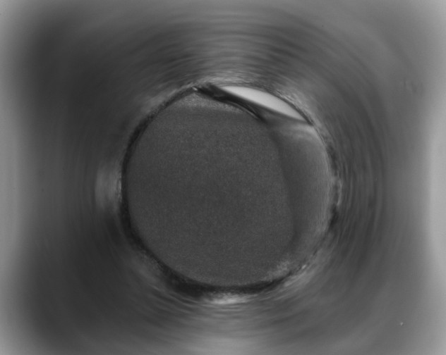 X0000088670348200706071504
